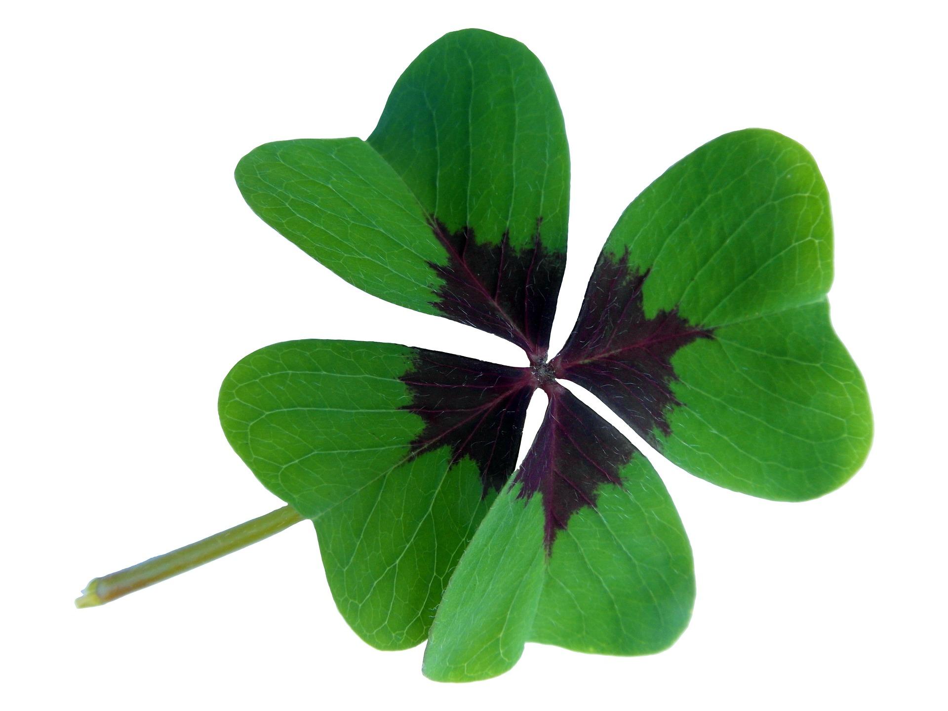 Lucky clover gf1658b685 1920